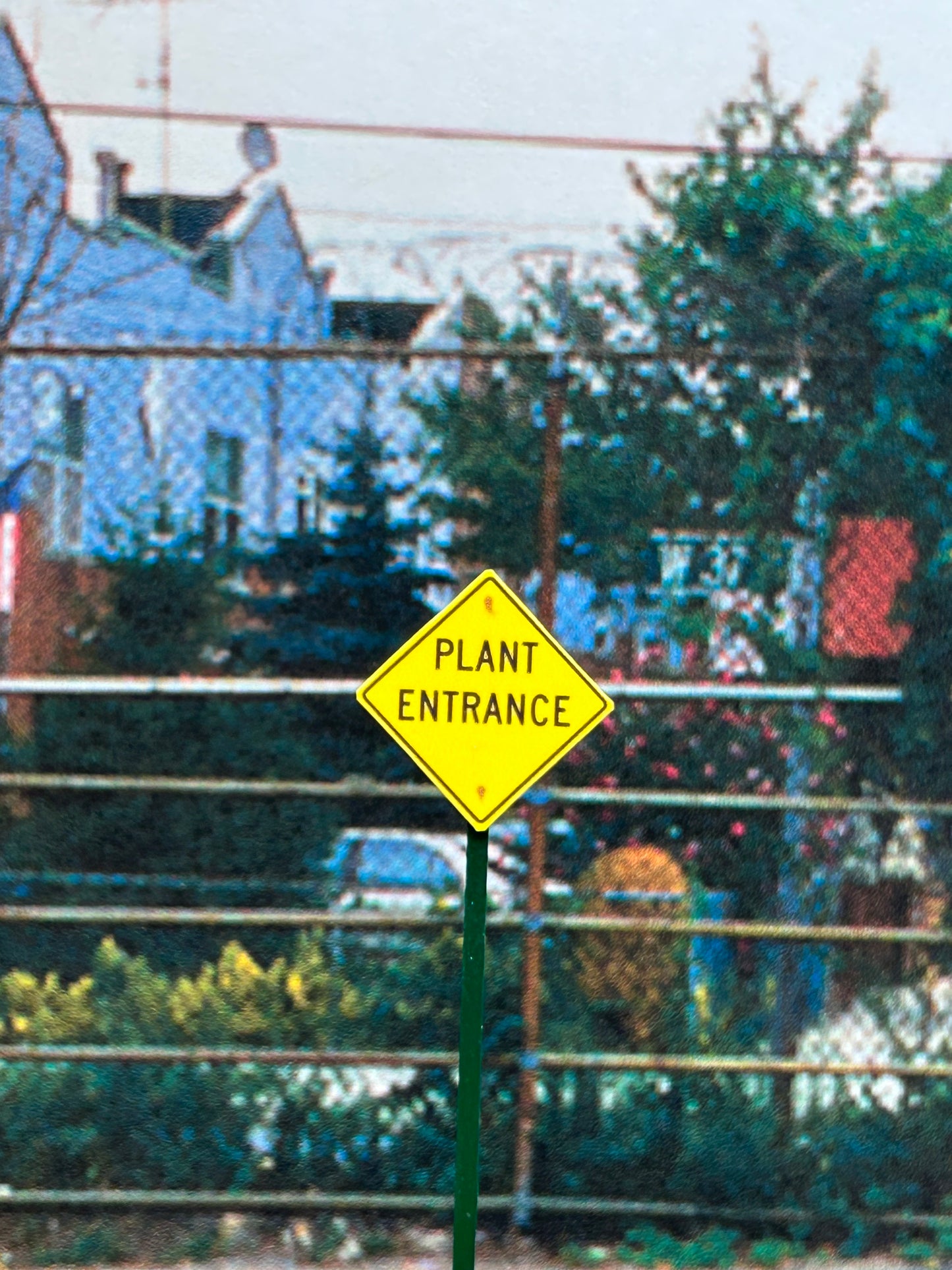 🟢 Plant Entrance