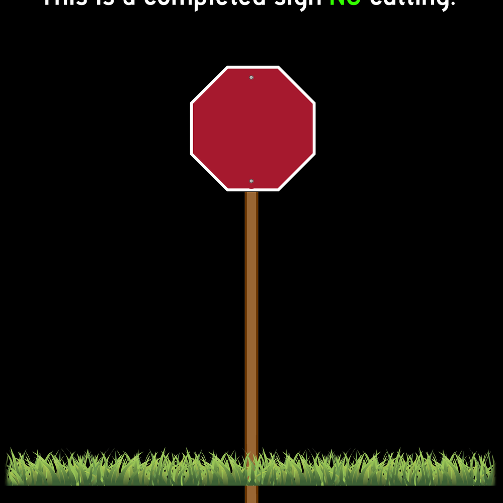 
                      
                        🟠 Stop Sign
                      
                    